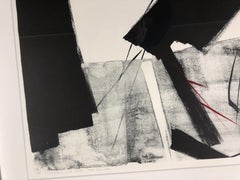 Im Laufe des Zeitalters  Toko Shinoda, schwarz-weiß signierte Lithographie und Kalligrafie