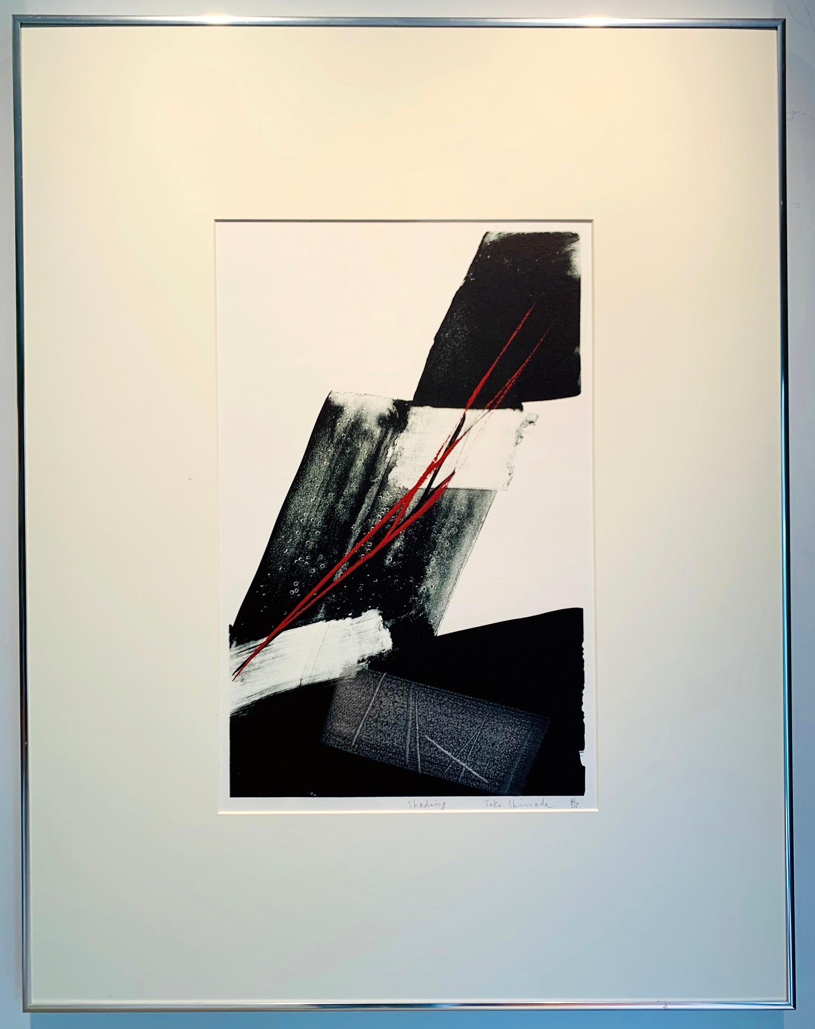 Toko Shinoda:: « Shading »:: lithographie et couleur brossée à la main sur papier 2