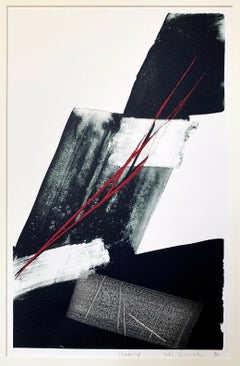 Toko Shinoda:: „Shading“:: Lithographie und handgebürstete Farbe auf Papier
