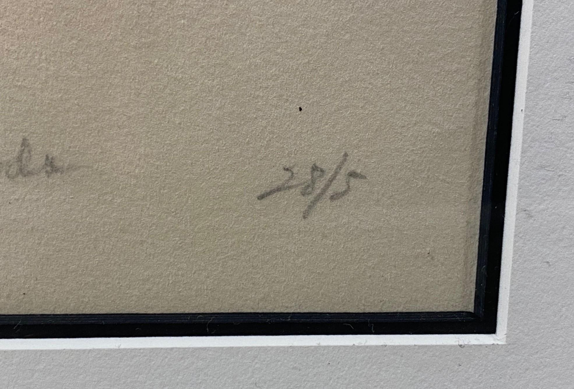 Toko Shinoda Firmada Gran Litografía japonesa de edición limitada Sombra transparente en venta 3