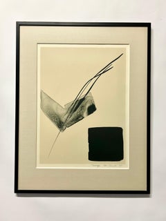 Toko Shinoda 'Durch' AP