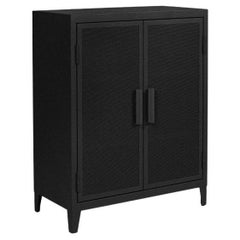 Tolix B2 Low Locker Perforated Indoor Painted in Graphite