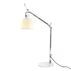 Tolomeo Aluminium Table Lamp by Michele De Lucchi and Giancarlo Fassina for Arte