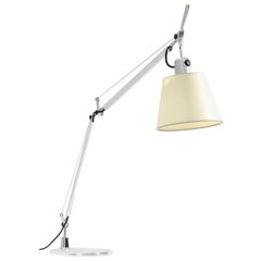 Used Tolomeo Aluminium Table Lamp by Michele De Lucchi and Giancarlo Fassina for Arte