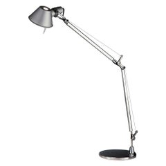 Tolomeo Classic Lamp with Gray Base by Michele De Lucchi & Giancarlo Fassina