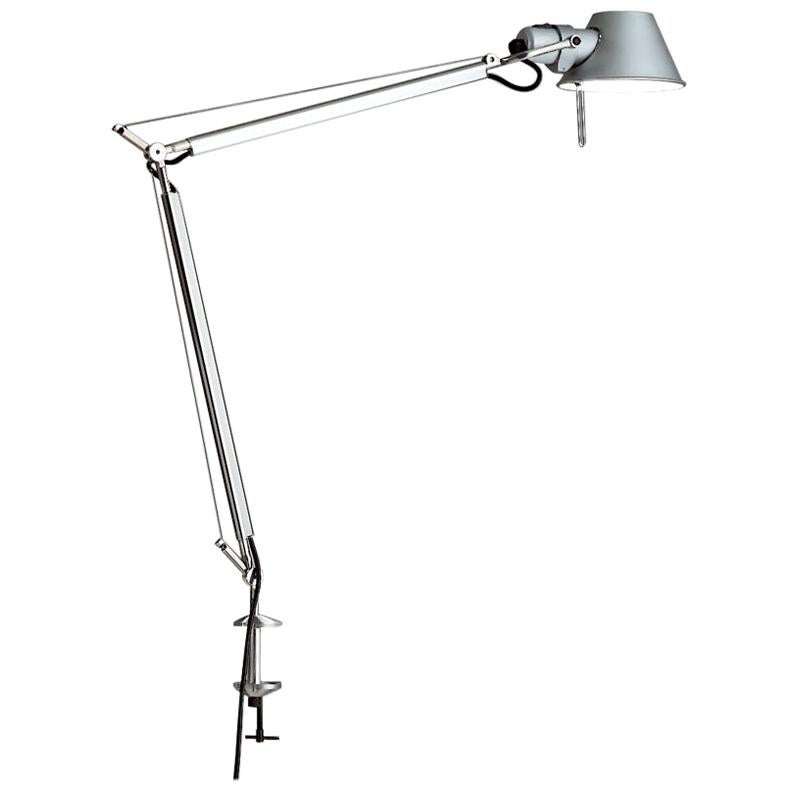 Tolomeo Gray Classic Lamp with Clamp by Michele De Lucchi & Giancarlo Fassina For Sale