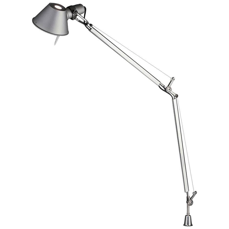 Tolomeo Gray Classic Pivot Lamp by Michele De Lucchi & Giancarlo Fassina For Sale