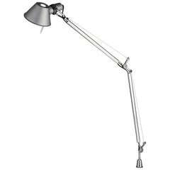 Tolomeo Gray Classic Pivot Lamp by Michele De Lucchi & Giancarlo Fassina