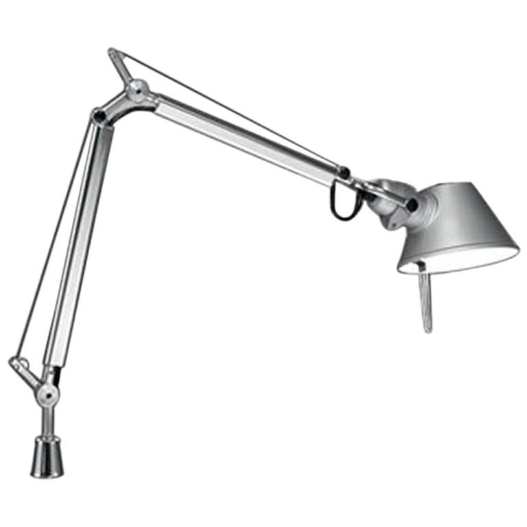 Tolomeo Graue schwenkbare Mikro-Lampe von Michele De Lucchi & Giancarlo Fassina im Angebot