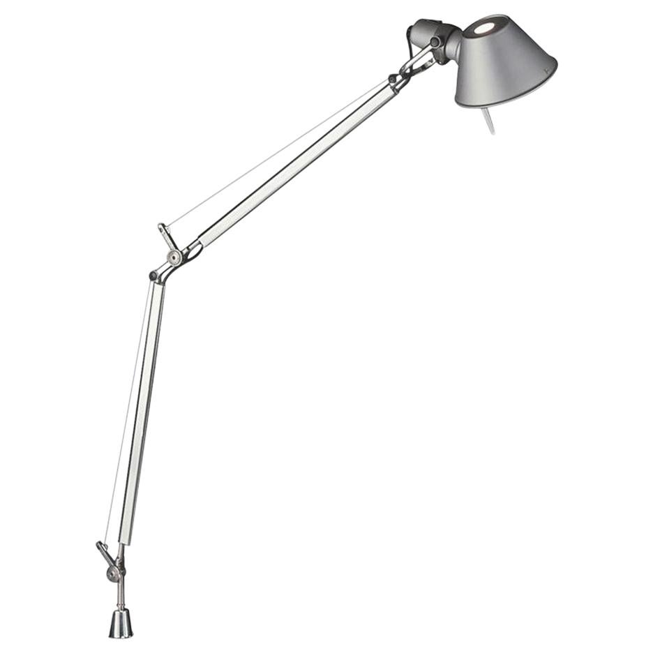 Tolomeo Gray Midi Pivot Lamp by Michele De Lucchi & Giancarlo Fassina For Sale