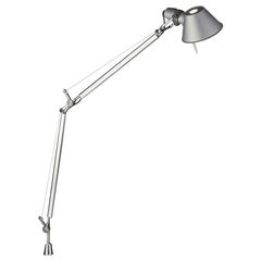 Tolomeo Gray Midi Pivot Lamp by Michele De Lucchi and Giancarlo Fassina