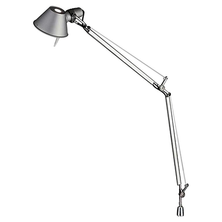 Tolomeo Graue schwenkbare Mini-Leuchte von Michele De Lucchi & Giancarlo Fassina