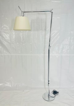 Tolomeo Mega Terra Floor Lamp by De Lucchi & Fassina for Artemide