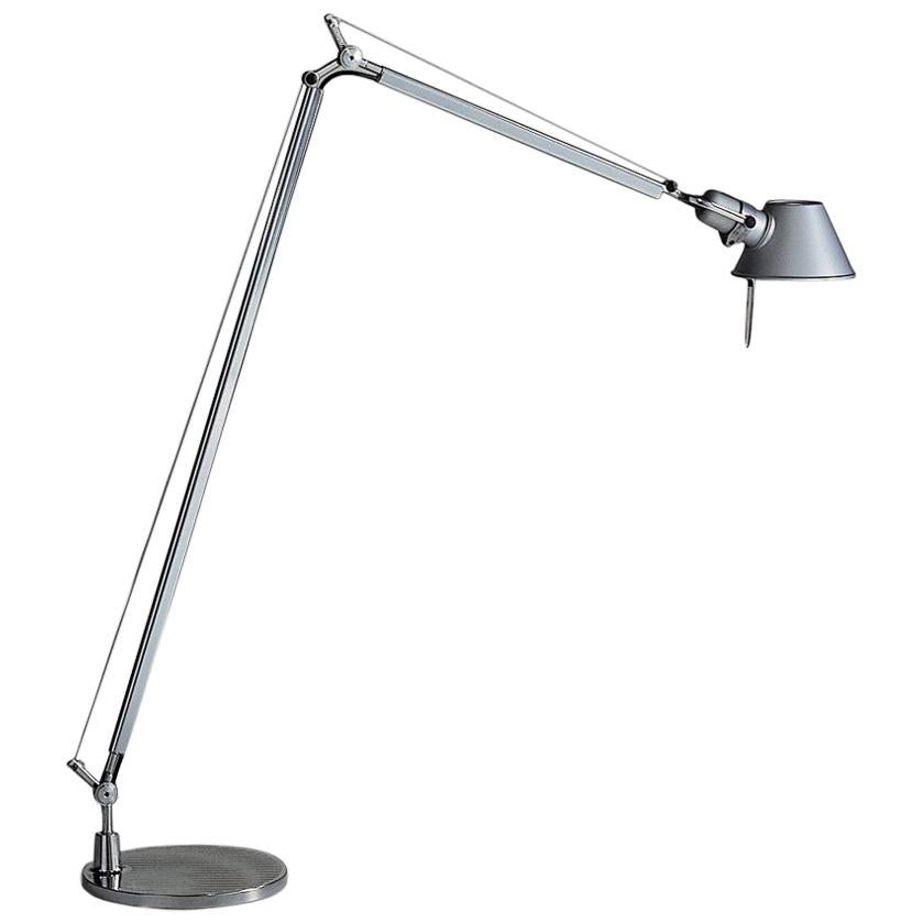 Tolomeo Reading Lamp in Gray by Michele De Lucchi & Giancarlo Fassina