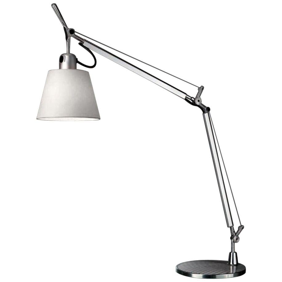 Tolomeo Silver & Fiber Lamp with Base by Michele De Lucchi & Giancarlo Fassina For Sale