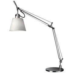 Tolomeo Silver & Fiber Lamp with Base by Michele De Lucchi & Giancarlo Fassina