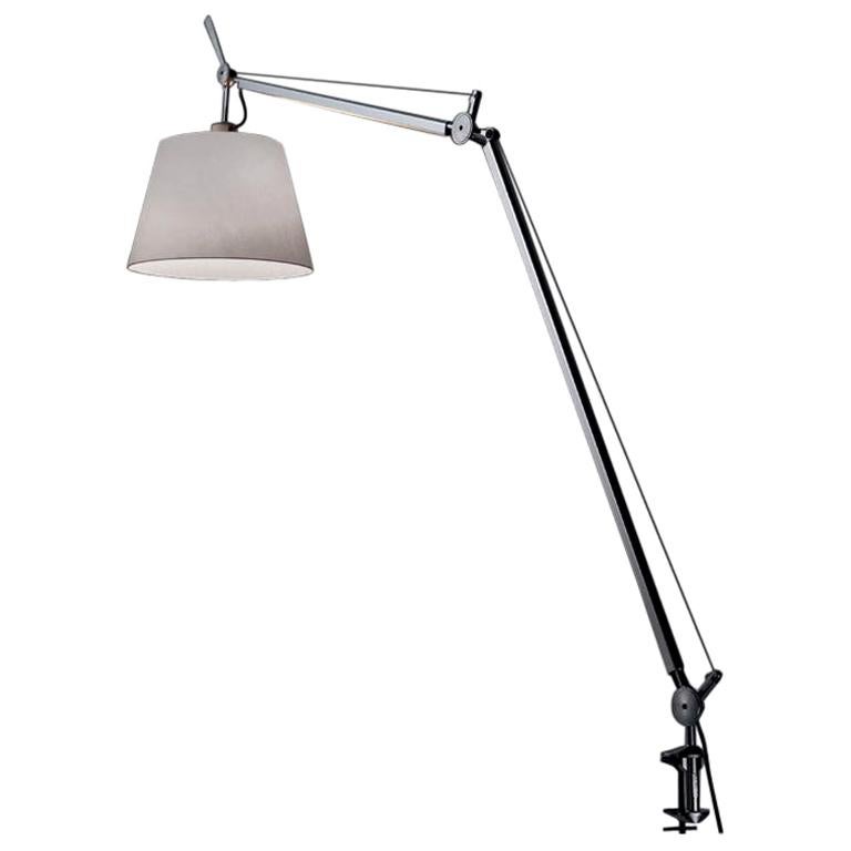 Tolomeo Silver & Fiber Lamp with Clamp by Michele De Lucchi & Giancarlo Fassina For Sale