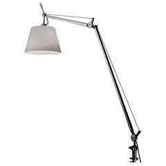 Tolomeo Silver & Fiber Lamp with Clamp by Michele De Lucchi & Giancarlo Fassina