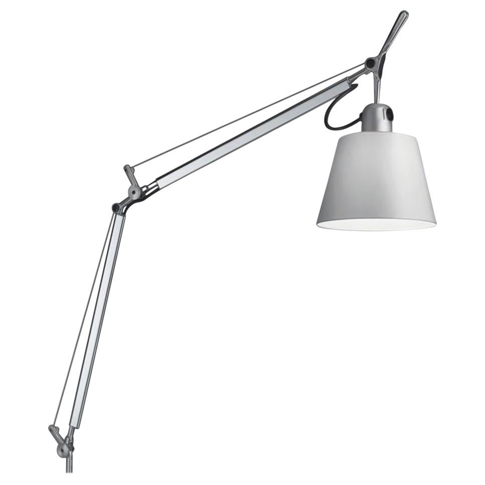 Tolomeo Silver & Fiber Lamp with Pivot by Michele De Lucchi & Giancarlo Fassina For Sale