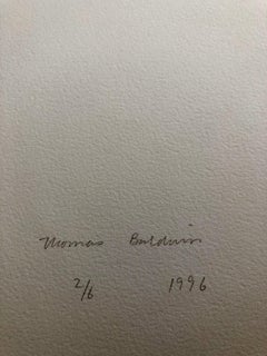 Großer abstrakter lebhafter, farbenfroher, farbenfroher Siebdruck mit Serigraphiedruck und japanischem Garten