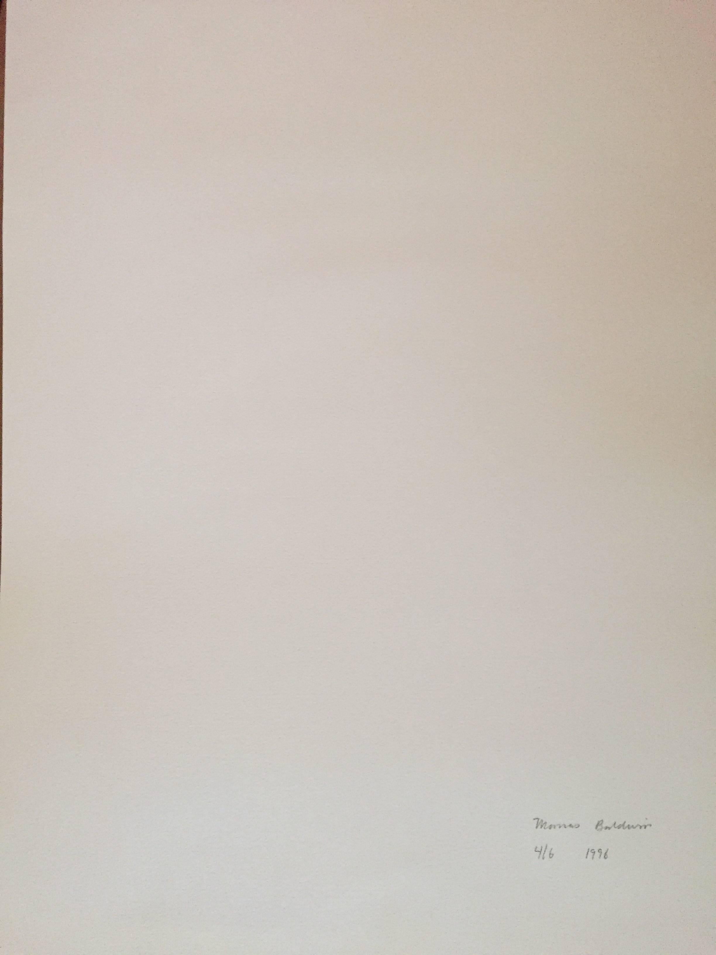 Récemment diplômé du légendaire Art Center College of Design de Pasadena, Tom Baldwin a créé la série d'impressions à jet d'encre Japanese Gardens en 1996 sur son ordinateur, utilisant la technologie graphique alors naissante pour 