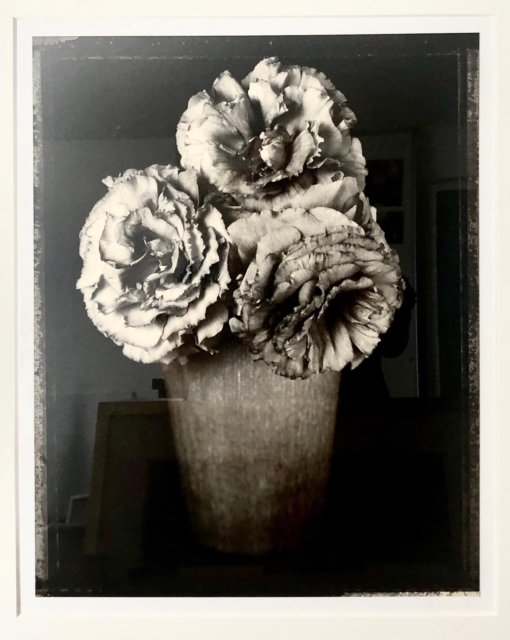 Großformatige Vintage-Blumenfotografie in Schwarz-Weiß-Silber-Gelatine und Gelatinesilber, Tom Baril im Angebot 1