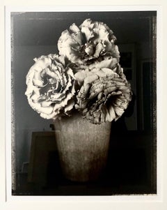 Large Format Vintage Floral Black & White Silver Gelatin Photograph Tom Baril