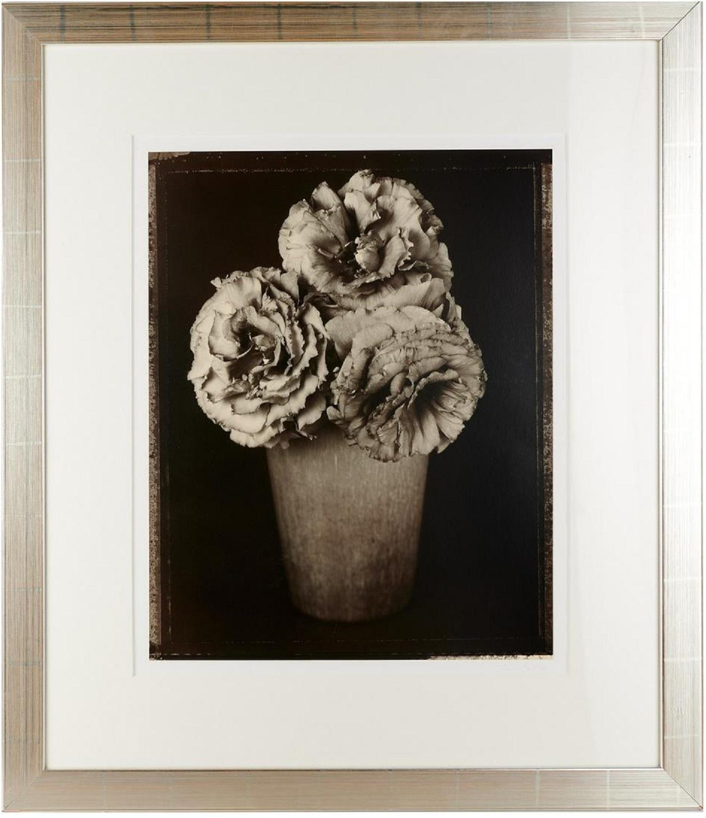 Photographie à fleurs vintage grand format en gélatine argentée noire et blanche Tom Baril en vente 3