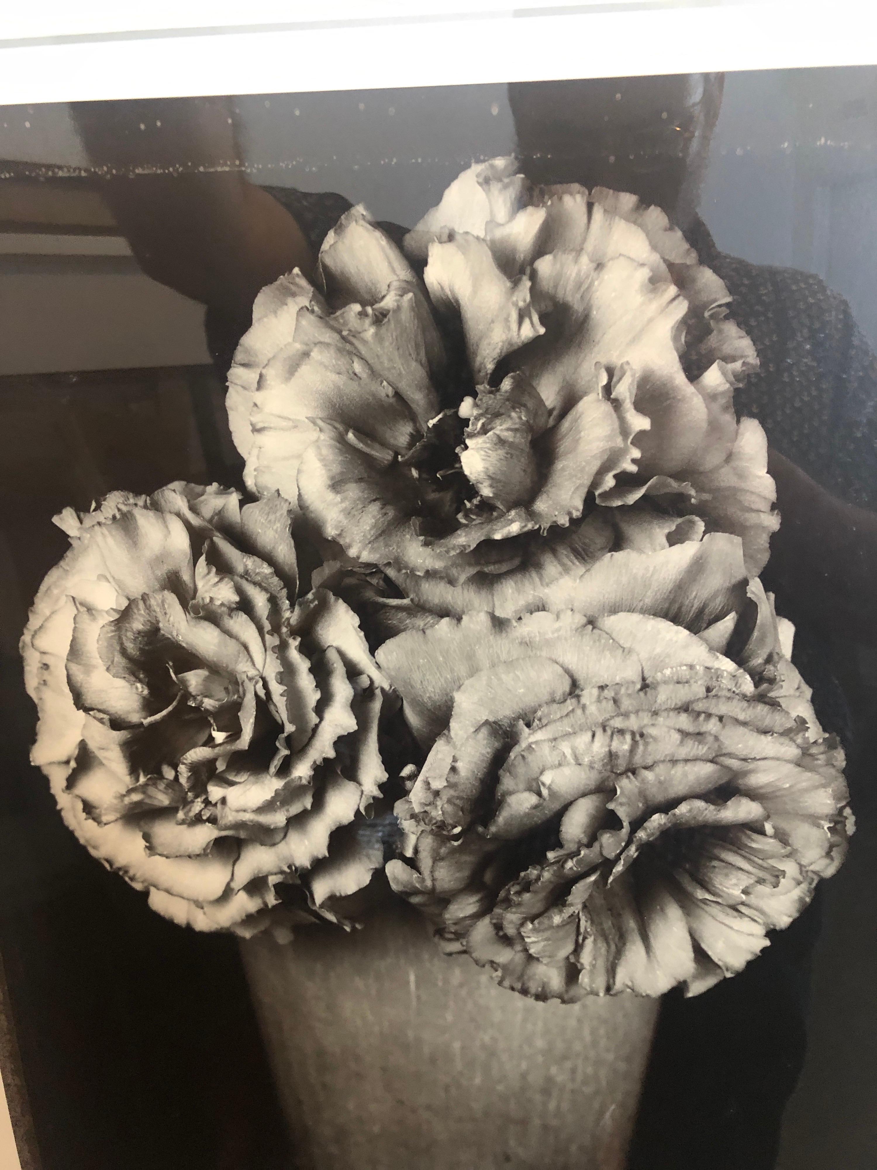 Large Format Vintage Floral Black & White Silver Gelatin Photograph Tom Baril For Sale 3