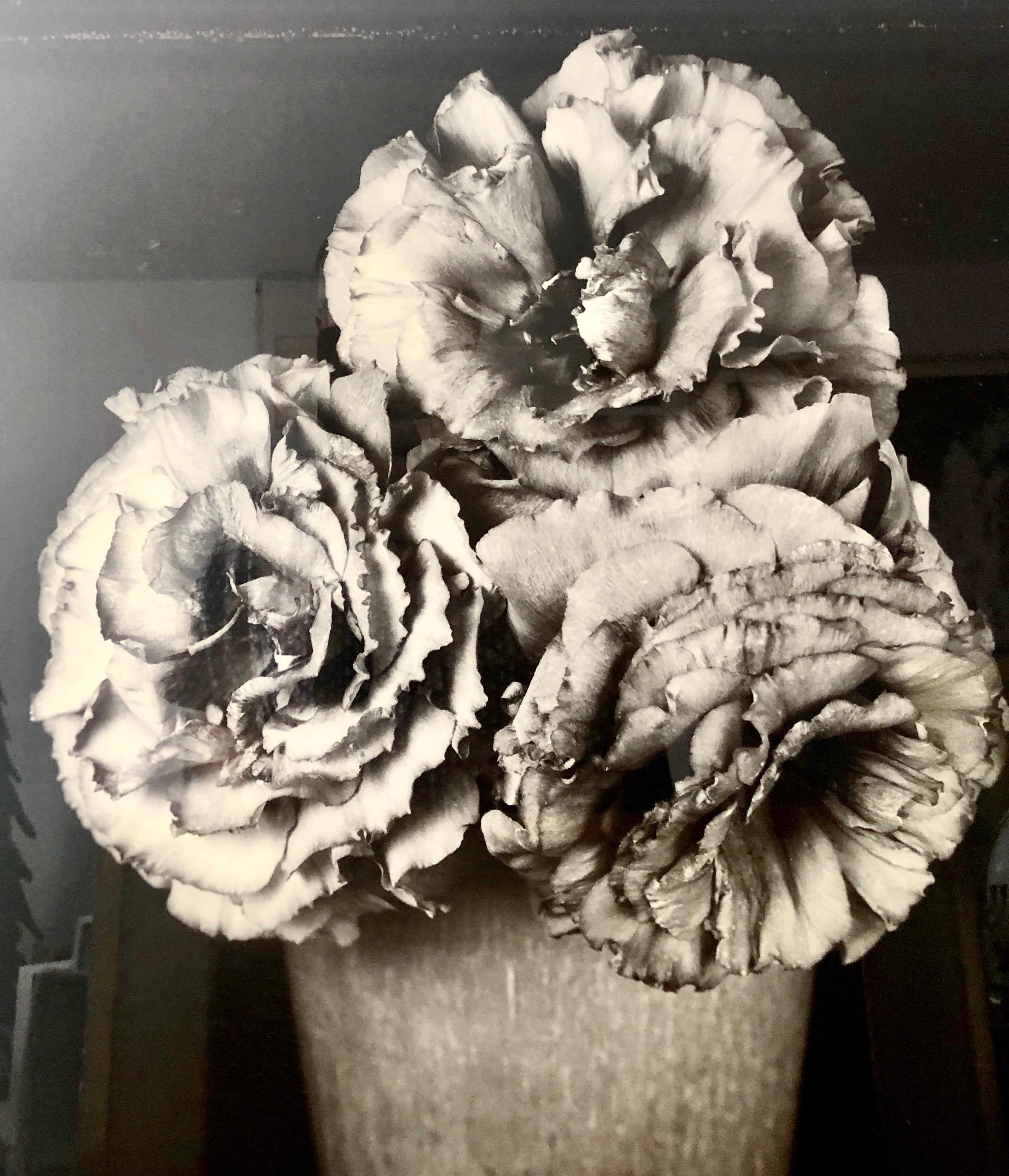 Photographie à fleurs vintage grand format en gélatine argentée noire et blanche Tom Baril en vente 8