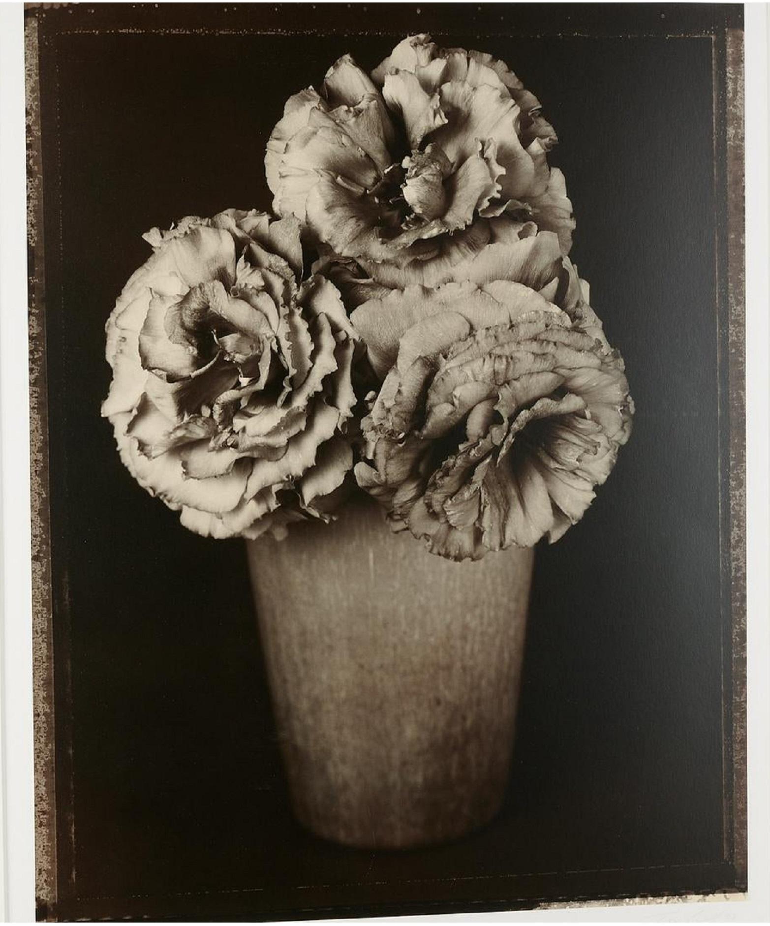Baril, Tom (Amerikaner, geb. 1952)
Großformatiger Silbergelatineabzug eines Blumenstilllebens. Handsigniert und datiert 1997 von Baril in Bleistift unter dem Bild. Schwarz-Weiß-Fotografie. Das Bild misst 24,5" x 19,5 "w, die gerahmten Maße sind 37
