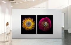 Ultraviolet Flowers - A Limited Edition Photograph - Tom Blachford & Kate Ballis