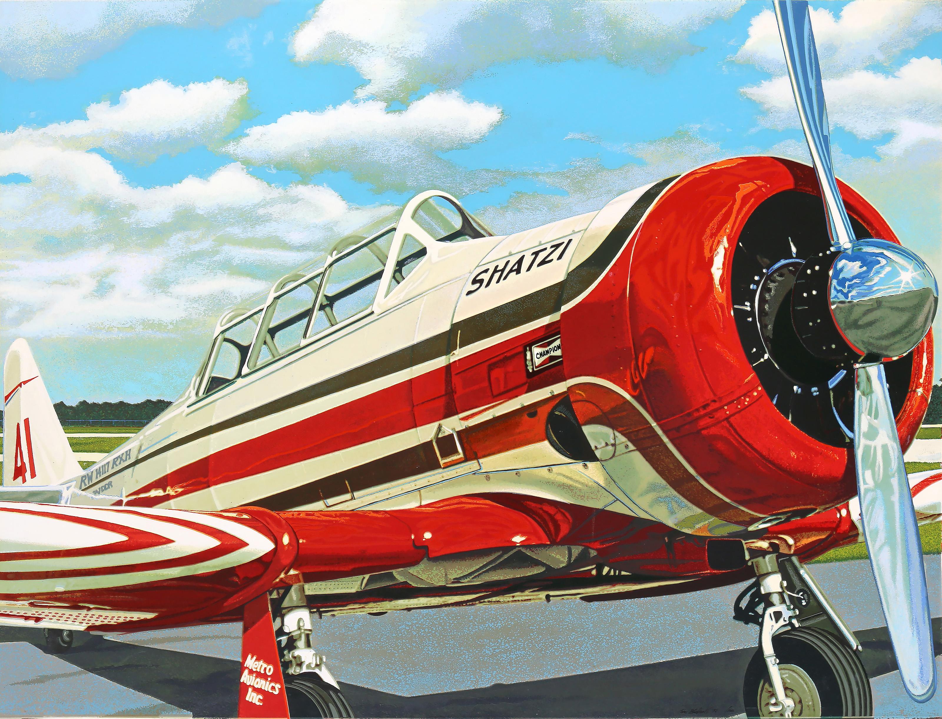  Tom Blackwell, estadounidense (1938 - ) -  Shatzi, Año:  1978, Medio:  Serigrafía sobre masonita, firmada, fechada y numerada a tinta, Edición:  100, Talla:  120,02 x 154,31 cm (47,25 x 60,75 pulg.), Editor:  Lassiter Meisel 