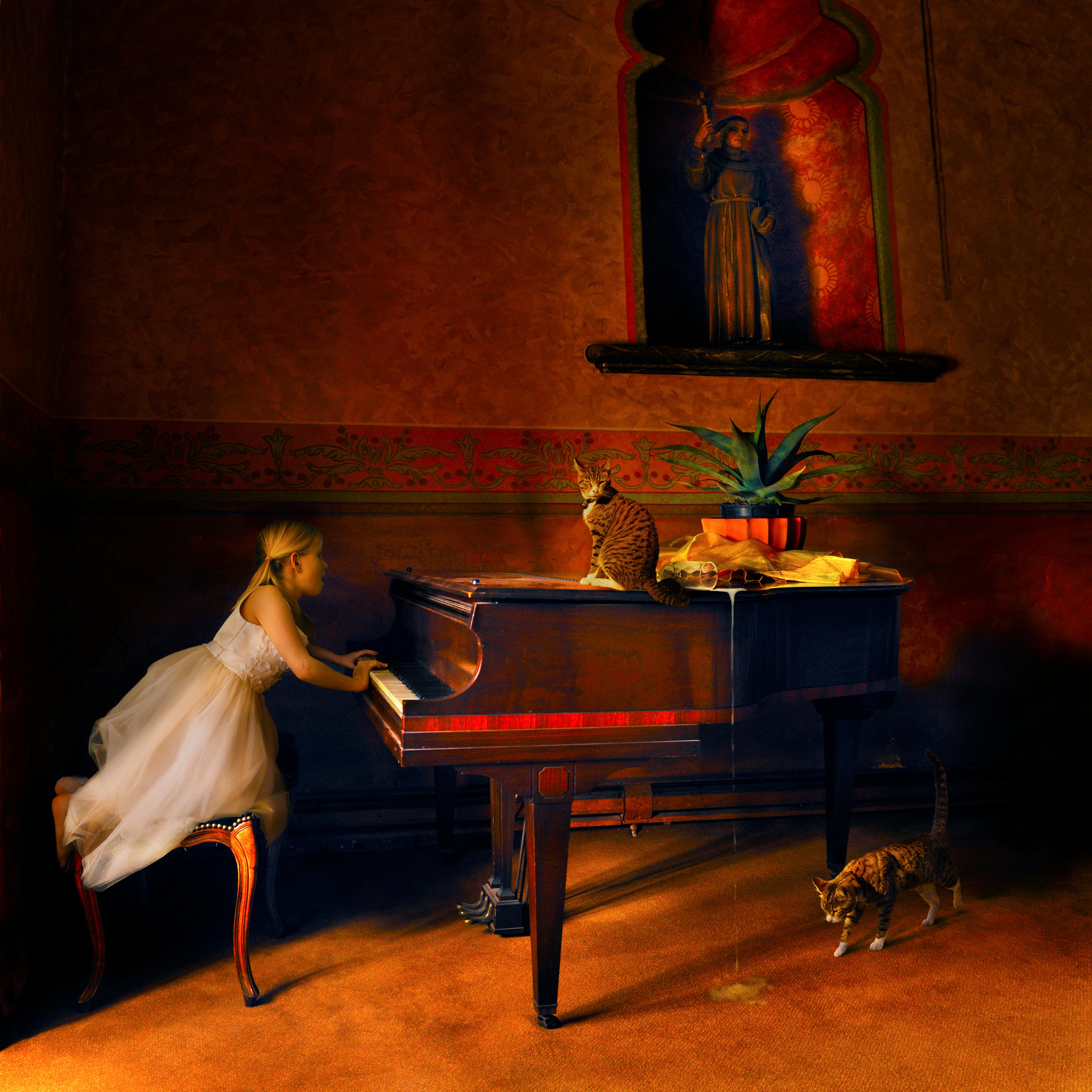 Grimalkin's Opus - Photograph by Tom Chambers