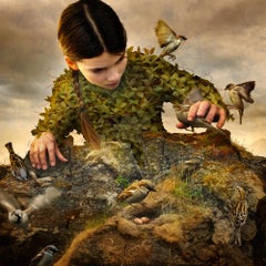 "Hidden Aviary" Playful Photograph with Birds and Curious Figure