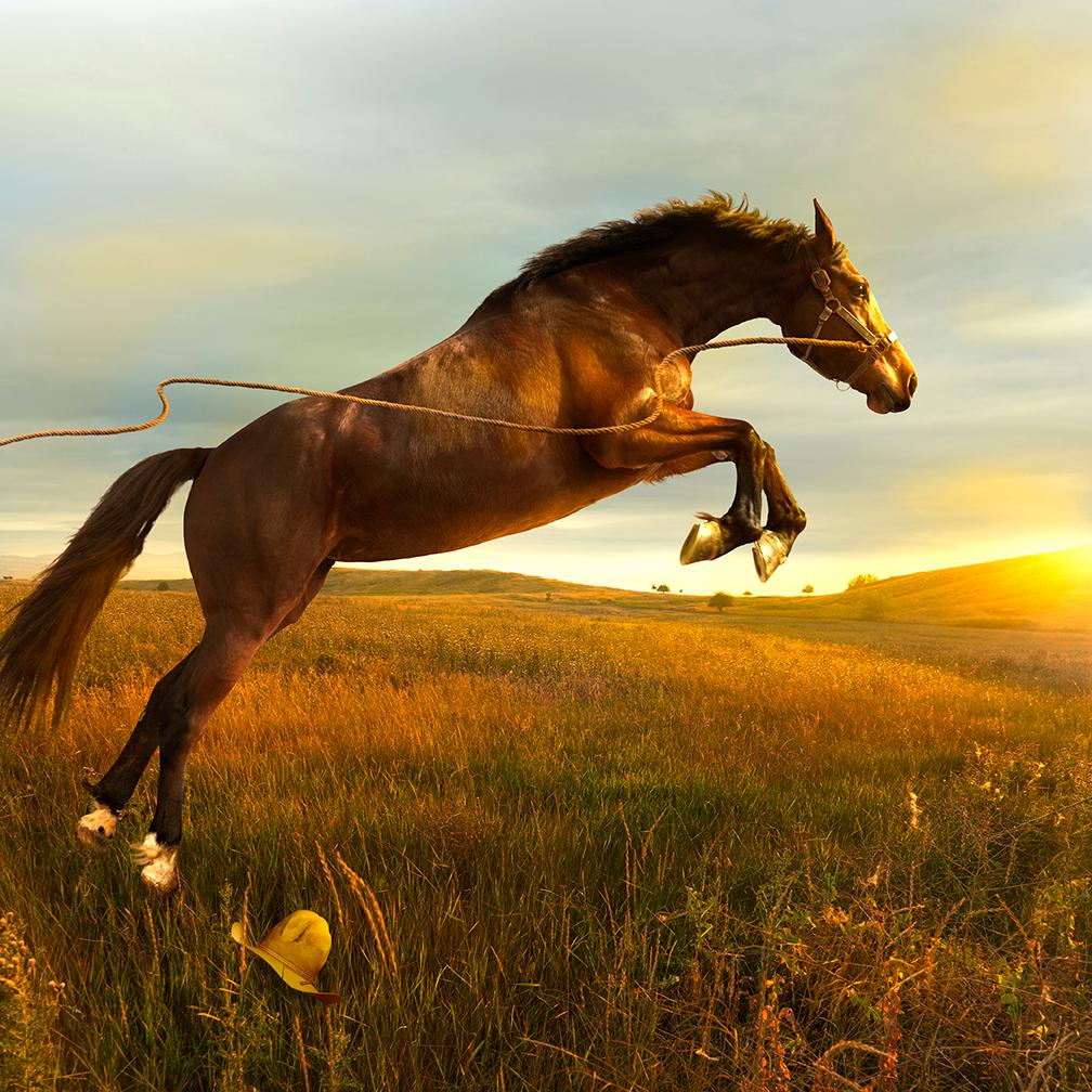 Tom Chambers Color Photograph - Lunge Line