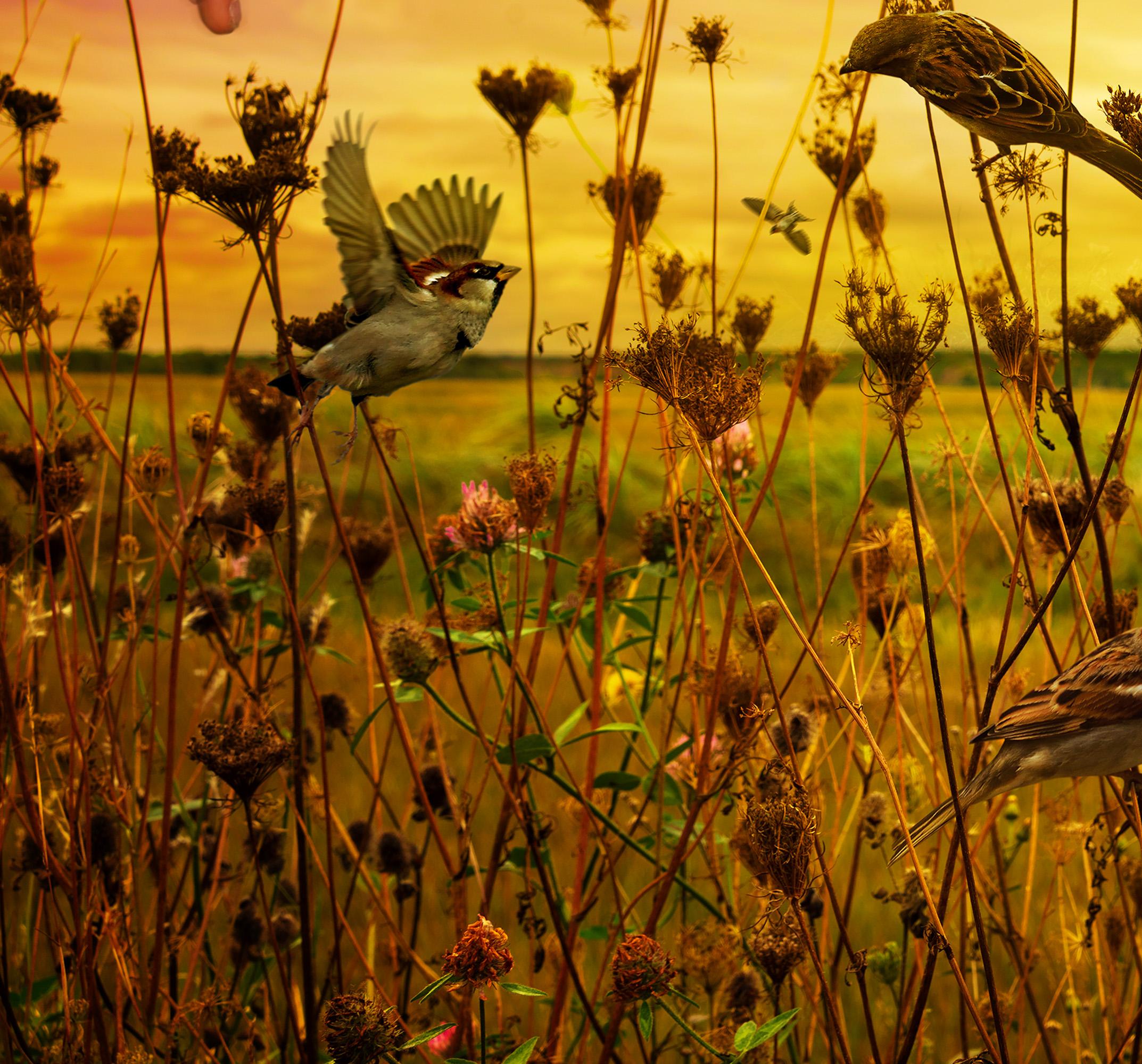 Edition: 2/5

For over thirty years, Tom Chambers has explored the medium of photography to create photomontages inspired largely from his travels in the American West, New England, Mexico, and Europe. Photomontage is Tom’s unique way of presenting