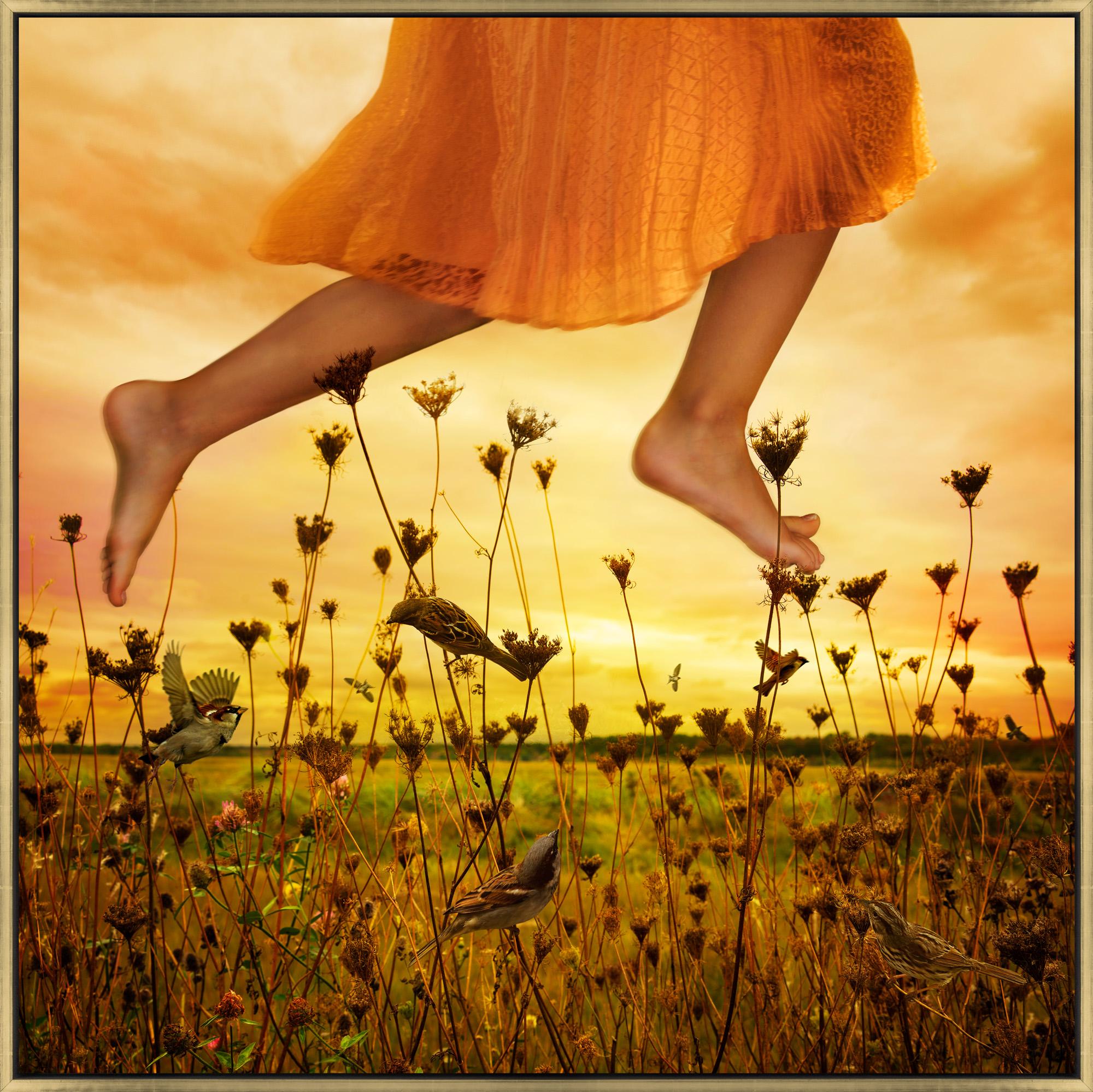 Tom Chambers Color Photograph - "Marsh Flight" Whimsical Photograph with Figure Jumping Over Flowers with Birds