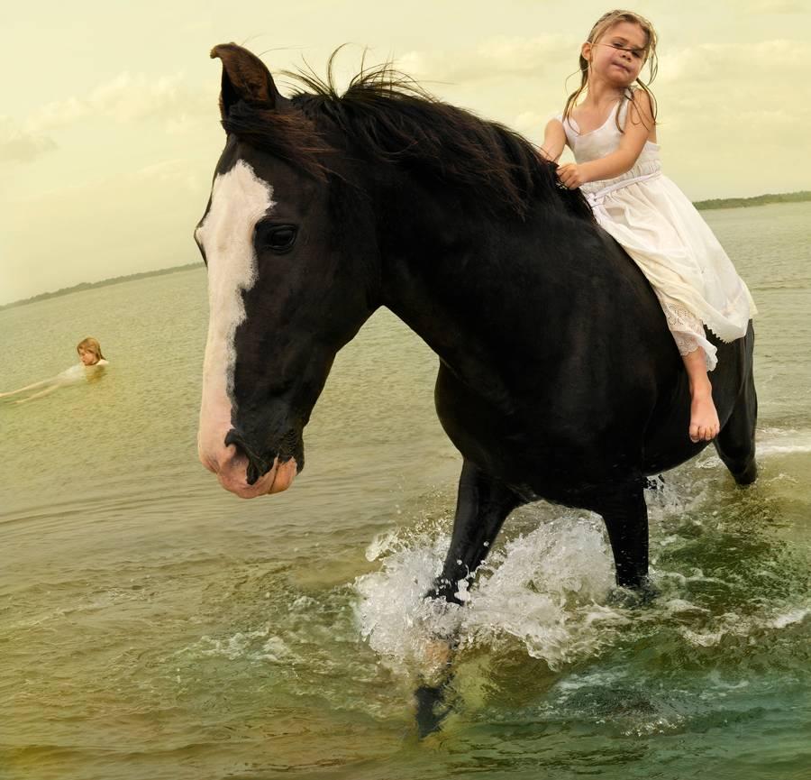 Tom Chambers Color Photograph - Marwari Stallion 2