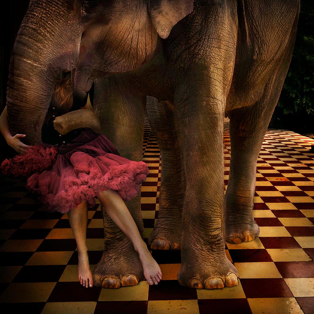 Opening Act - Photograph by Tom Chambers