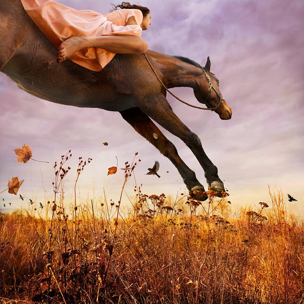Tom Chambers Color Photograph – Südliche Migration