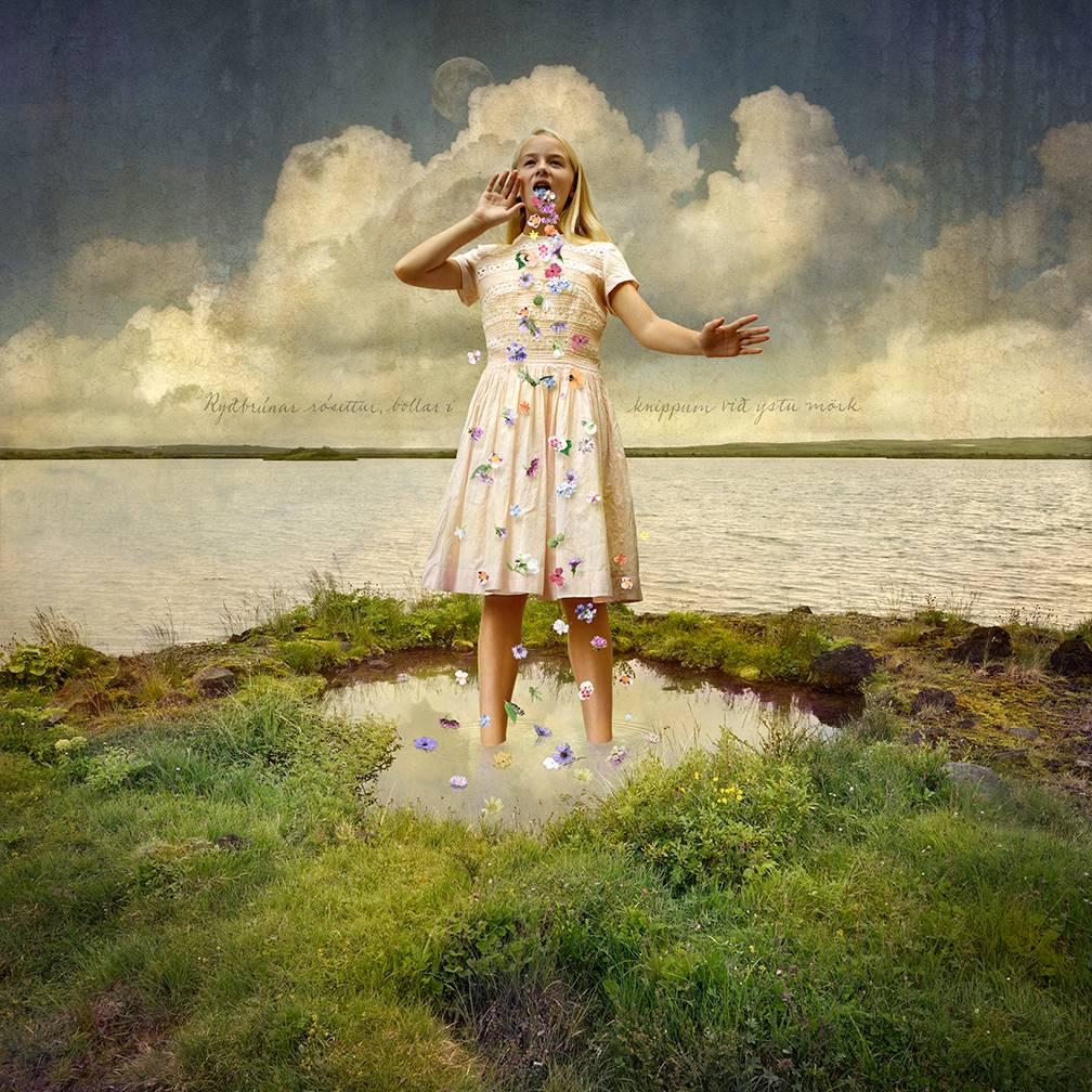 Tom Chambers Color Photograph – Sommer Solioquy