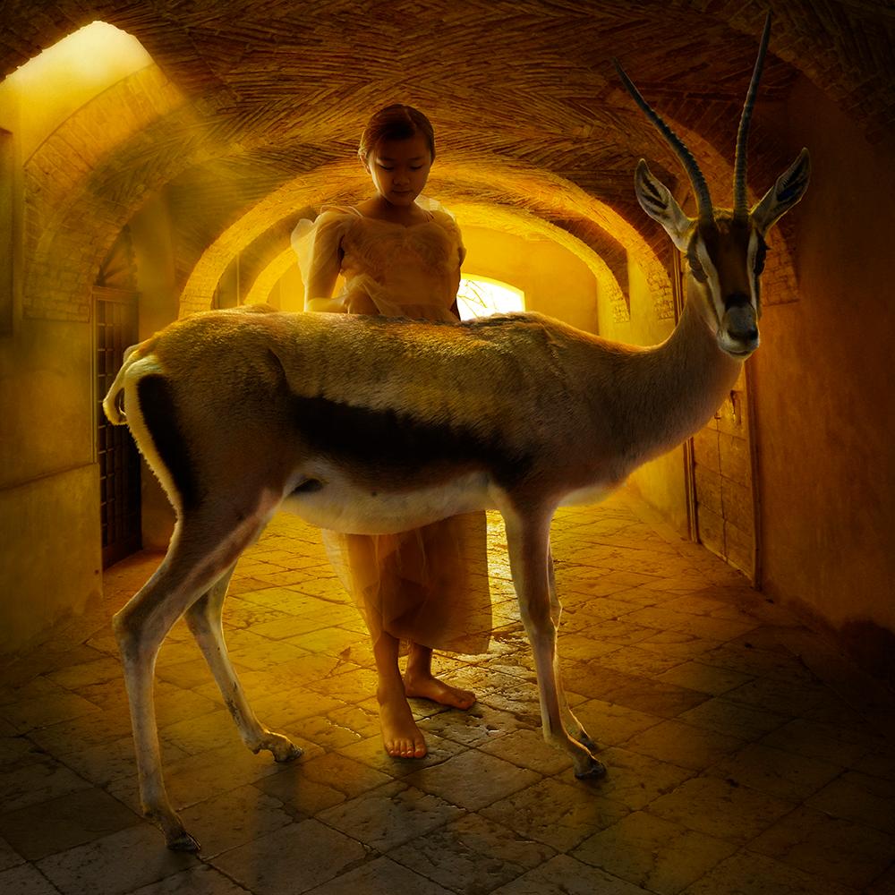 Tunnel Vision - Photograph by Tom Chambers
