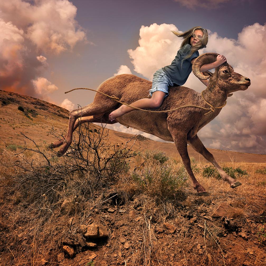 Tom Chambers Color Photograph - Wildfire 