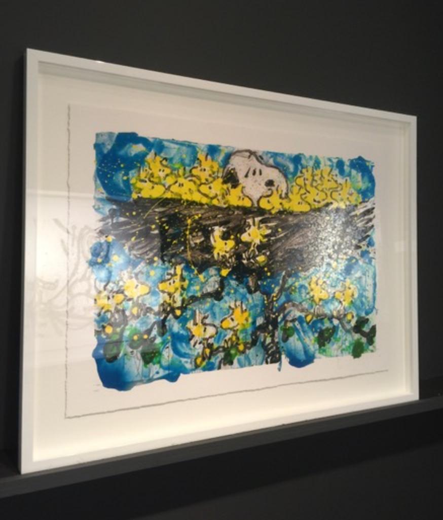 tom everhart for sale