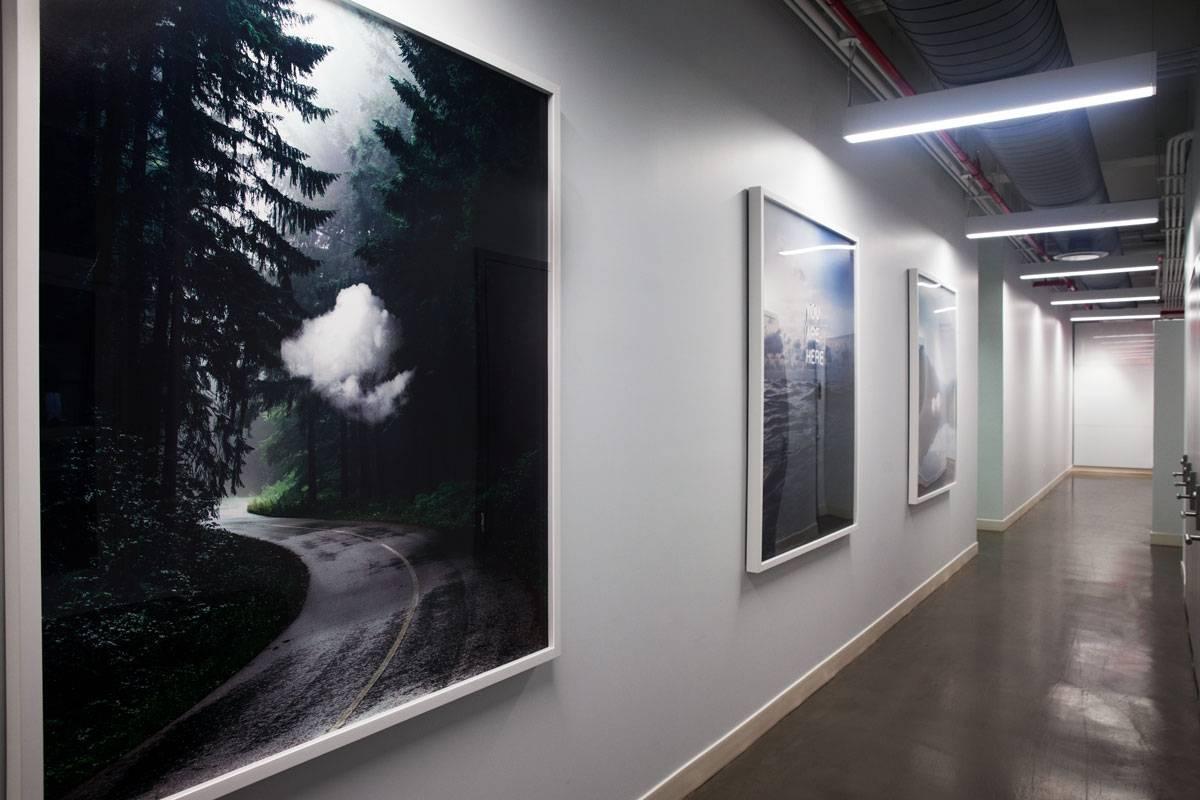 Alive (Schwarz), Landscape Photograph, von Tom Fabia