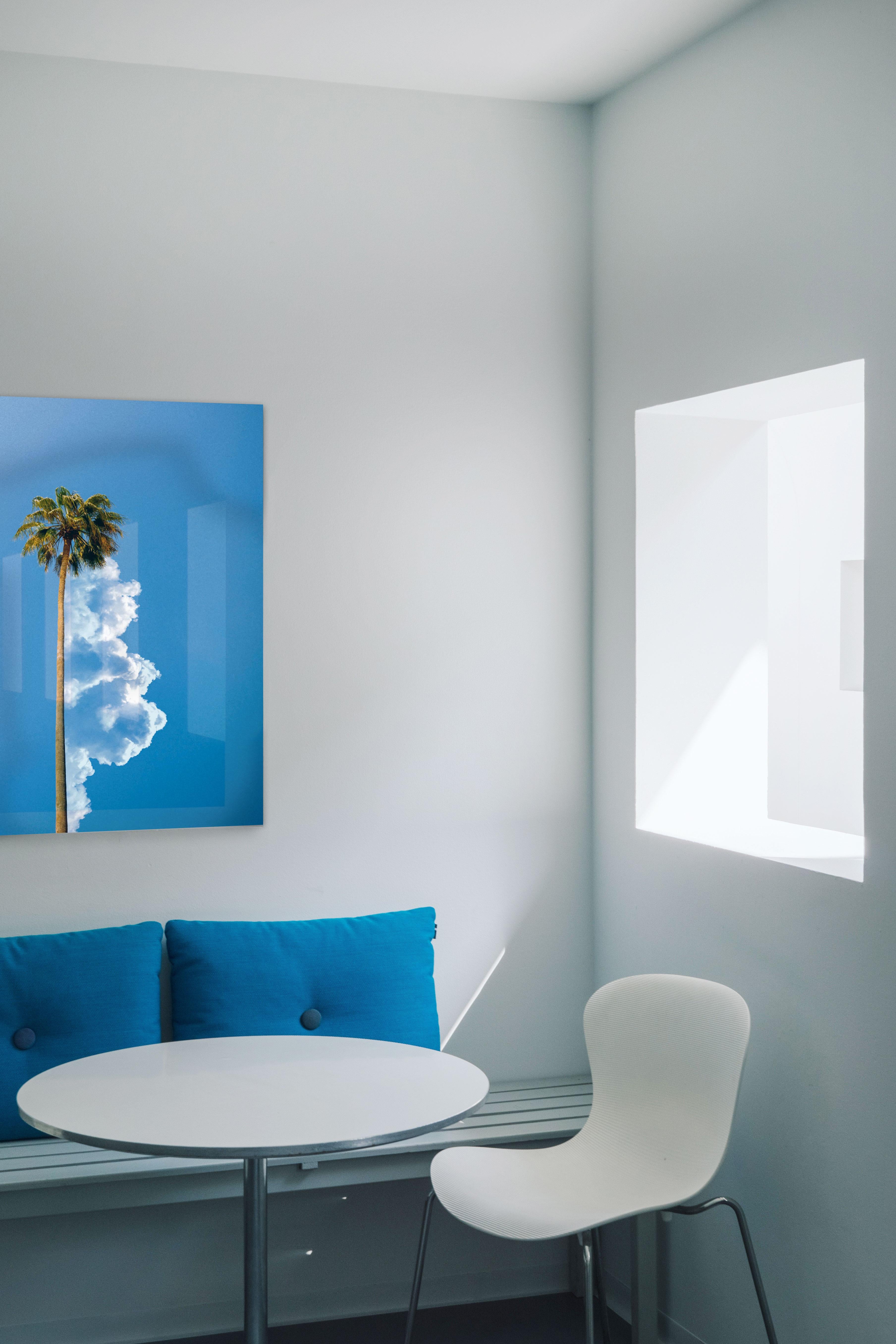 Palme 1 – Photograph von Tom Fabia