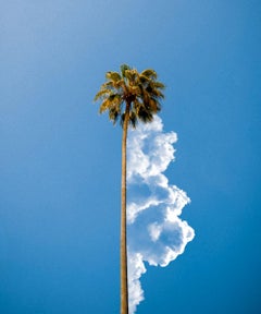 Palme 1