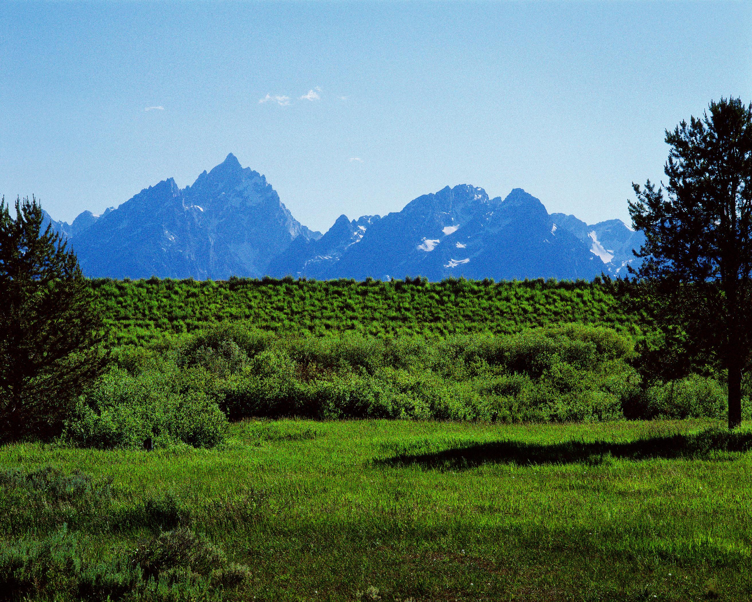 Tetons 8D