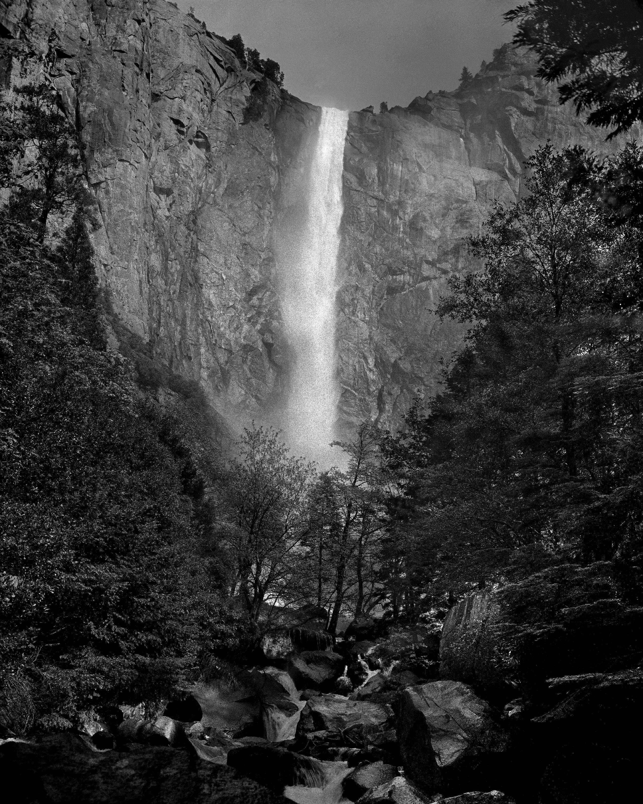 Cascate dello Yosemite in primo piano, Yosemite